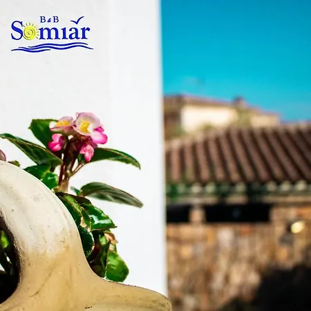 Bed and breakfast Somiar