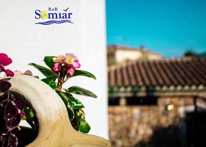 Bed & Breakfast Somiar