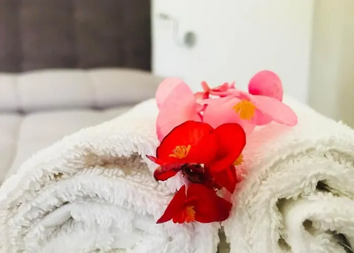 Somiar Bed & Breakfast 4*