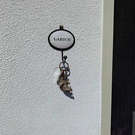 Somiar San Teodoro (Sardinia)