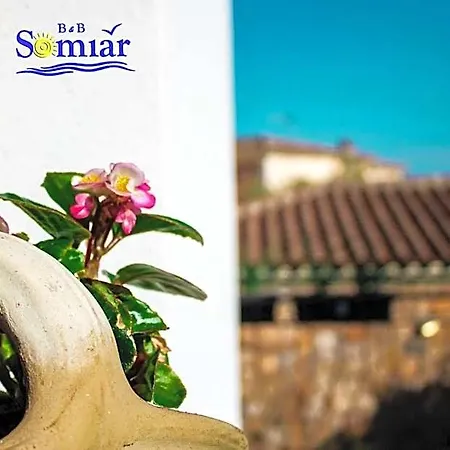 Bed & Breakfast Somiar 3*